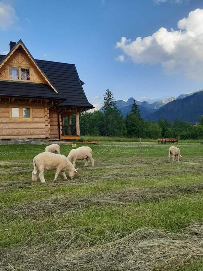 Domek W Raju Kościelisko Esterno foto